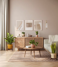 Load image into Gallery viewer, -