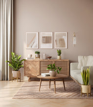 Load image into Gallery viewer, Sandy stand:three_stands