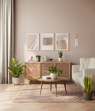 Load image into Gallery viewer, -