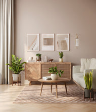 Load image into Gallery viewer, -