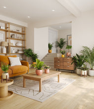 Load image into Gallery viewer, Evening Sky stand:five_stands