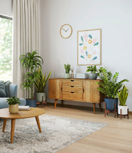 Load image into Gallery viewer, -