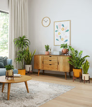 Load image into Gallery viewer, Evening Sky stand:five_stands