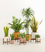 Load image into Gallery viewer, Evening Sky stand:five_stands