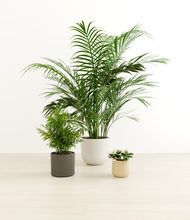 Load image into Gallery viewer, Woodland*****Profile
