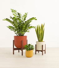 Load image into Gallery viewer, Evening Sky stand:two_stands