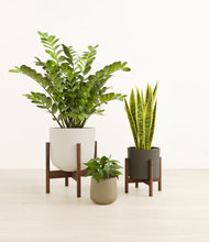 Load image into Gallery viewer, Radiant Trinity