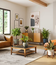 Load image into Gallery viewer, -