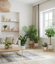 Load image into Gallery viewer, Sandy stand:four_stands