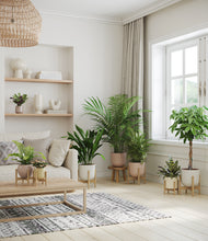Load image into Gallery viewer, Sandy stand:six_stands