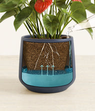 Load image into Gallery viewer, Deep Navy