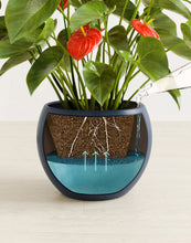 Load image into Gallery viewer, Deep Navy