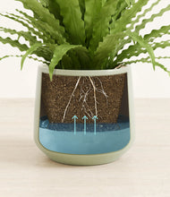 Load image into Gallery viewer, Turquoise