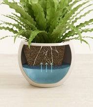 Load image into Gallery viewer, Shiny EggWhite