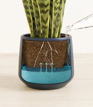 Load image into Gallery viewer, Deep Navy