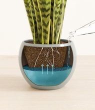 Load image into Gallery viewer, Deep Ocean