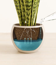 Load image into Gallery viewer, Shiny EggWhite