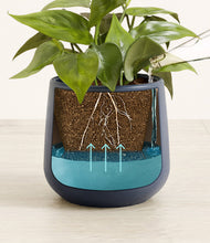 Load image into Gallery viewer, -