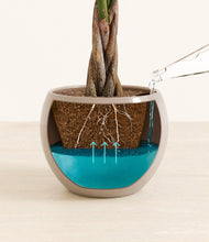 Load image into Gallery viewer, Desert Brown