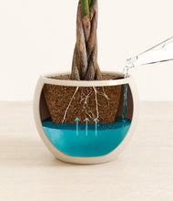 Load image into Gallery viewer, Shiny EggWhite