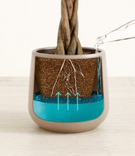 Load image into Gallery viewer, Eternal Gray