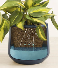 Load image into Gallery viewer, Deep Navy