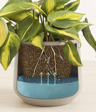 Load image into Gallery viewer, Eternal Gray