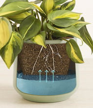 Load image into Gallery viewer, Turquoise