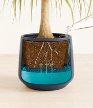 Load image into Gallery viewer, Deep Navy