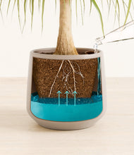 Load image into Gallery viewer, Eternal Gray