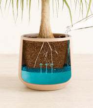 Load image into Gallery viewer, Gentle Pink