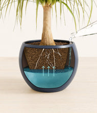 Load image into Gallery viewer, Deep Navy