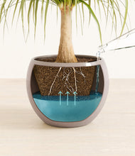 Load image into Gallery viewer, Winter Clouds