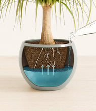 Load image into Gallery viewer, Deep Ocean