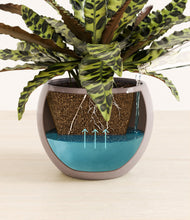 Load image into Gallery viewer, Winter Clouds