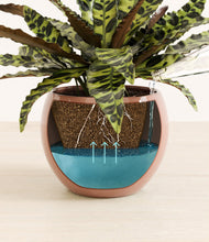 Load image into Gallery viewer, Calm Rose