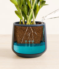 Load image into Gallery viewer, Deep Navy