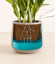 Load image into Gallery viewer, Eternal Gray