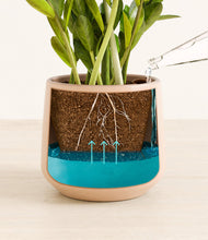 Load image into Gallery viewer, Gentle Pink