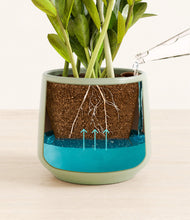 Load image into Gallery viewer, Turquoise