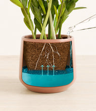 Load image into Gallery viewer, Calm Rose