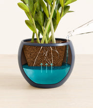 Load image into Gallery viewer, Deep Navy