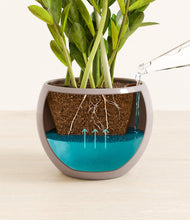 Load image into Gallery viewer, Winter Clouds