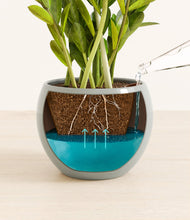 Load image into Gallery viewer, Deep Ocean