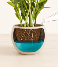 Load image into Gallery viewer, Shiny EggWhite