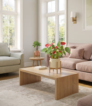 Load image into Gallery viewer, Rose Garden stand:two_stands