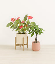 Load image into Gallery viewer, Rose Garden stand:one_stand