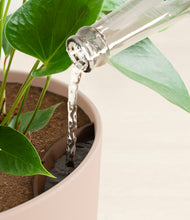 Load image into Gallery viewer, Sandy Pink stand:all