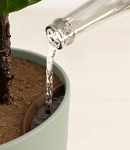 Load image into Gallery viewer, Sage Green stand:all