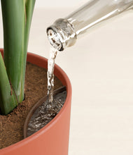 Load image into Gallery viewer, Earth Red stand:all